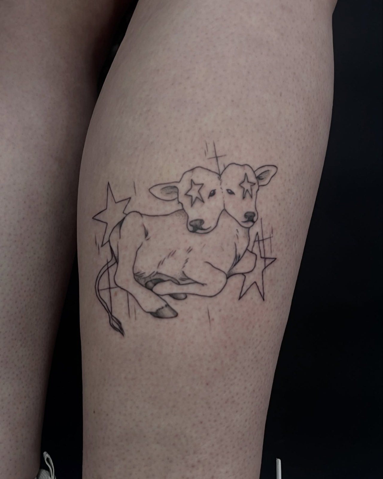 Star Cow